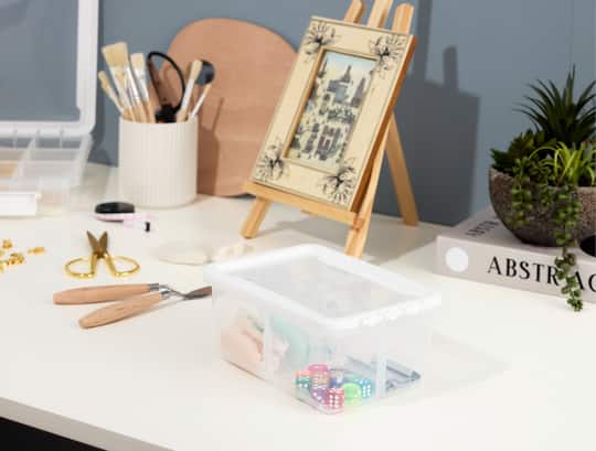 Ezy Storage -Compartment Storage Box
